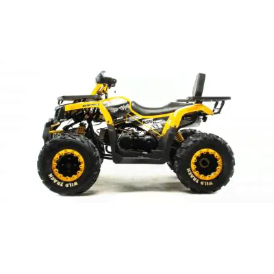 Motoland WILD TRACK LUX 200 желтый-0