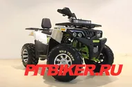 Квадроцикл 200 WILD TRACK PRO