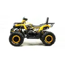 Motoland WILD TRACK LUX 200 желтый